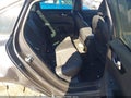 Photo 8 of 16 — 2024 Kia Forte