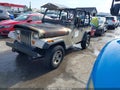 Photo 2 of 11 — 1995 Jeep Wrangler