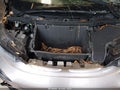Photo 10 of 16 — 2014 BMW i3