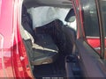 Photo 8 of 16 — 2023 Honda Ridgeline