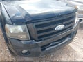 Photo 12 of 12 — 2010 Ford Expedition