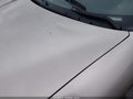 Photo 13 of 14 — 1999 Pontiac Firebird