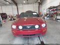 2007 Ford Mustang — photo 12 of 16 | VIN 1ZVHT82H075232278
