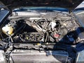 Photo 10 of 14 — 2010 Ford Escape