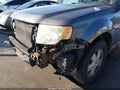 Photo 13 of 14 — 2010 Ford Escape