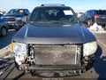 Photo 6 of 14 — 2010 Ford Escape