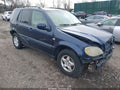 Photo 1 of 16 — 2001 Mercedes-Benz ML-Class