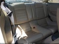 2008 Ford Mustang — photo 8 of 16 | VIN 1ZVHT82H985161146