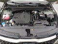 Photo 10 of 16 — 2024 Kia Sportage