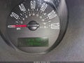 2007 Ford Mustang — photo 12 of 12 | VIN 1ZVFT80N075308288