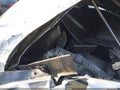 Photo 10 of 11 — 2007 Lexus IS 250