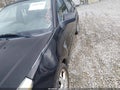 Photo 6 of 11 — 2008 Ford Focus