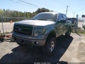 2013 Ford F-150 — photo 2 of 16 | VIN 1FTFW1EF5DFC59680