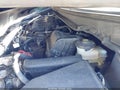 2012 Honda Civic — photo 10 of 16 | VIN 2HGFG3B55CH512631