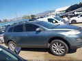 Photo 12 of 15 — 2010 Mazda CX-9