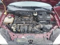 2007 Ford Focus — photo 10 of 10 | VIN 1FAHP31NX7W314620