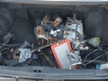 1998 Toyota Camry — photo 13 of 13 | VIN JT2BG22K3W0213332