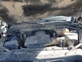 Photo 10 of 16 — 2023 Chevrolet Tahoe