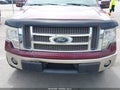 Photo 12 of 19 — 2010 Ford F-150