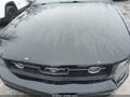 Photo 10 of 11 — 2007 Ford Mustang