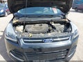 Photo 10 of 11 — 2013 Ford Escape