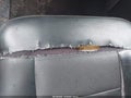2008 Ford F-150 — photo 13 of 15 | VIN 1FTPX02528KC49080