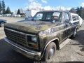 1981 Ford F-150 Lightning — photo 2 of 16 | VIN 1FTEF15F9BPA99807