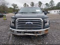Photo 12 of 16 — 2017 Ford F-150