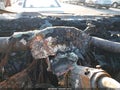 Photo 7 of 10 — 2020 Ford Transit-150