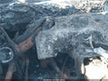 2007 Chevrolet Silverado 1500 — photo 7 of 11 | VIN 1GCEC14C97Z652676