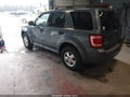 Photo 3 of 11 — 2010 Ford Escape