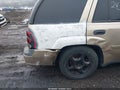 2006 Chevrolet Trailblazer — photo 13 of 13 | VIN 1GNDT13S962340361