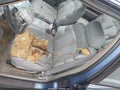 1999 Buick LeSabre — photo 12 of 17 | VIN 1G4HP52K6XH429595