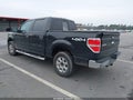 2013 Ford F-150 — photo 3 of 16 | VIN 1FTFW1EF9DFD60981