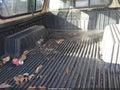 1994 Toyota Pickup — photo 8 of 11 | VIN JT4RN81AXR5192543