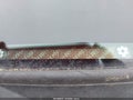 Photo 9 of 11 — 2006 Honda Odyssey