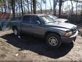 2003 Dodge Dakota — photo 1 of 11 | VIN 1D7HL38X73S376805