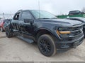 Photo 13 of 16 — 2025 Ford F-150