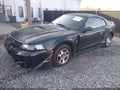 Photo 2 of 16 — 2000 Ford Mustang