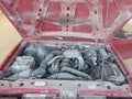 1995 Ford Ranger — photo 10 of 12 | VIN 1FTCR10A2SUC00052