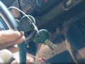 Photo 11 of 11 — 2000 Dodge Dakota