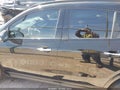 Photo 14 of 16 — 2025 Mercedes-Benz GLA-Class