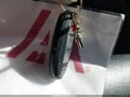 Photo 11 of 16 — 2012 Nissan Murano
