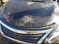 Photo 10 of 10 — 2014 Nissan Altima