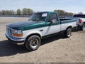 1996 Ford F-150 Lightning — photo 2 of 20 | VIN 2FTEF15N9TCA04558