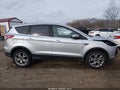 Photo 13 of 16 — 2013 Ford Escape
