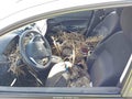 Photo 11 of 11 — 2018 Mitsubishi Mirage