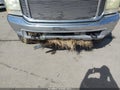 Photo 20 of 21 — 2003 Ford F-250
