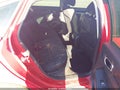 Photo 8 of 16 — 2022 Honda Civic