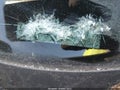 2009 Nissan Maxima — photo 11 of 11 | VIN 1N4AA51E89C832843